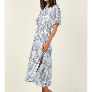 NWT Runway Scout Midi Dress- the Doherty